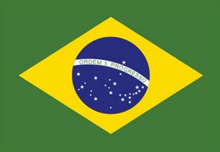 武汉代办巴西商务签证|派员工去巴西公干手续怎么办理