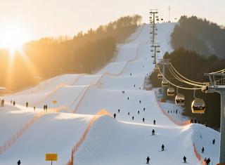 春节武汉到神农架滑雪价格|春节想去滑雪多少钱