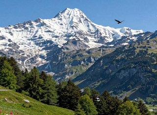 2026武汉到瑞士旅游-瑞士11日封神之作 这才是高端玩法