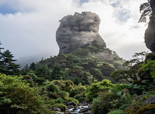2026武汉到梵净山旅游-自然之美的典范 生动的水墨画卷-高铁6日游