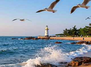 2026武汉老人到山东夕阳红旅游|楚地老人齐鲁行七日游