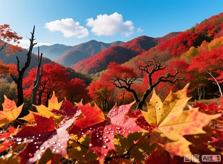 武汉周边哪里看红叶好|武汉周边秋游好的地方