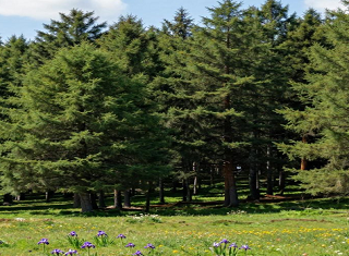 暑假武汉到内蒙旅游多少钱 山西、内蒙草原全景八日游