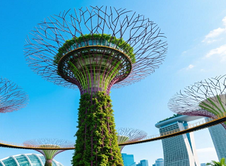 武汉到新马泰旅游价格 武汉跟团到新马泰旅游 泰新马特优尊品五飞联程10日游