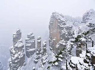 春节武汉去张家界旅游多少钱|春节张家界高铁三日游