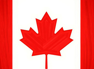 武汉代办加拿大签证机构-我们一直努力提供优质的服务让你省时省心