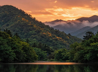 五一武汉到神农架旅游报价●五一武汉周边三日游线路