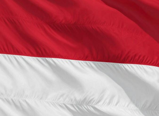 武汉代办印尼商务签证价格-照片护照即可办理