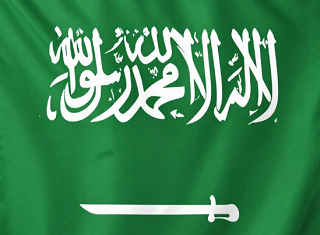 武汉代办沙特签证报价-一年多次入境 出签超快