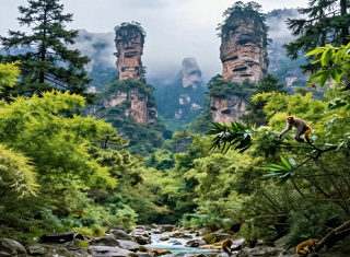 武汉到张家界旅游-您一分钱不带跟我走高高兴兴回来-5日游