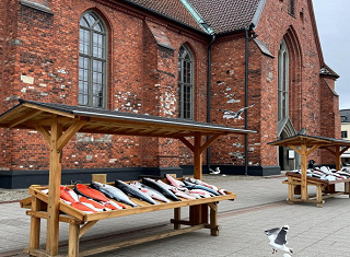 武汉到北欧旅游-在挪威森林中寻找静谧-品质12日游