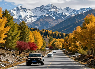 武汉到新疆旅游在哪报名-中青旅游网报名联系方式-南北疆小团18日游