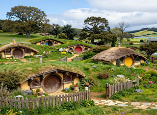 武汉到新西兰旅游-找中青旅报名到新西兰旅游多少钱-南北岛9日游